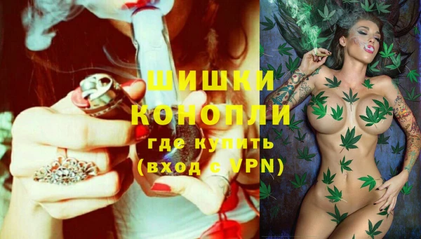 spice Алзамай